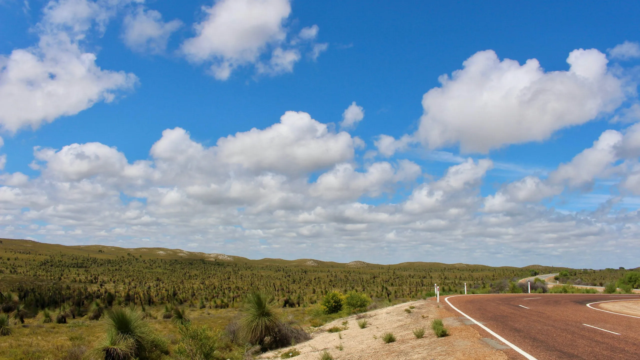 Collie River Ultra Marathon