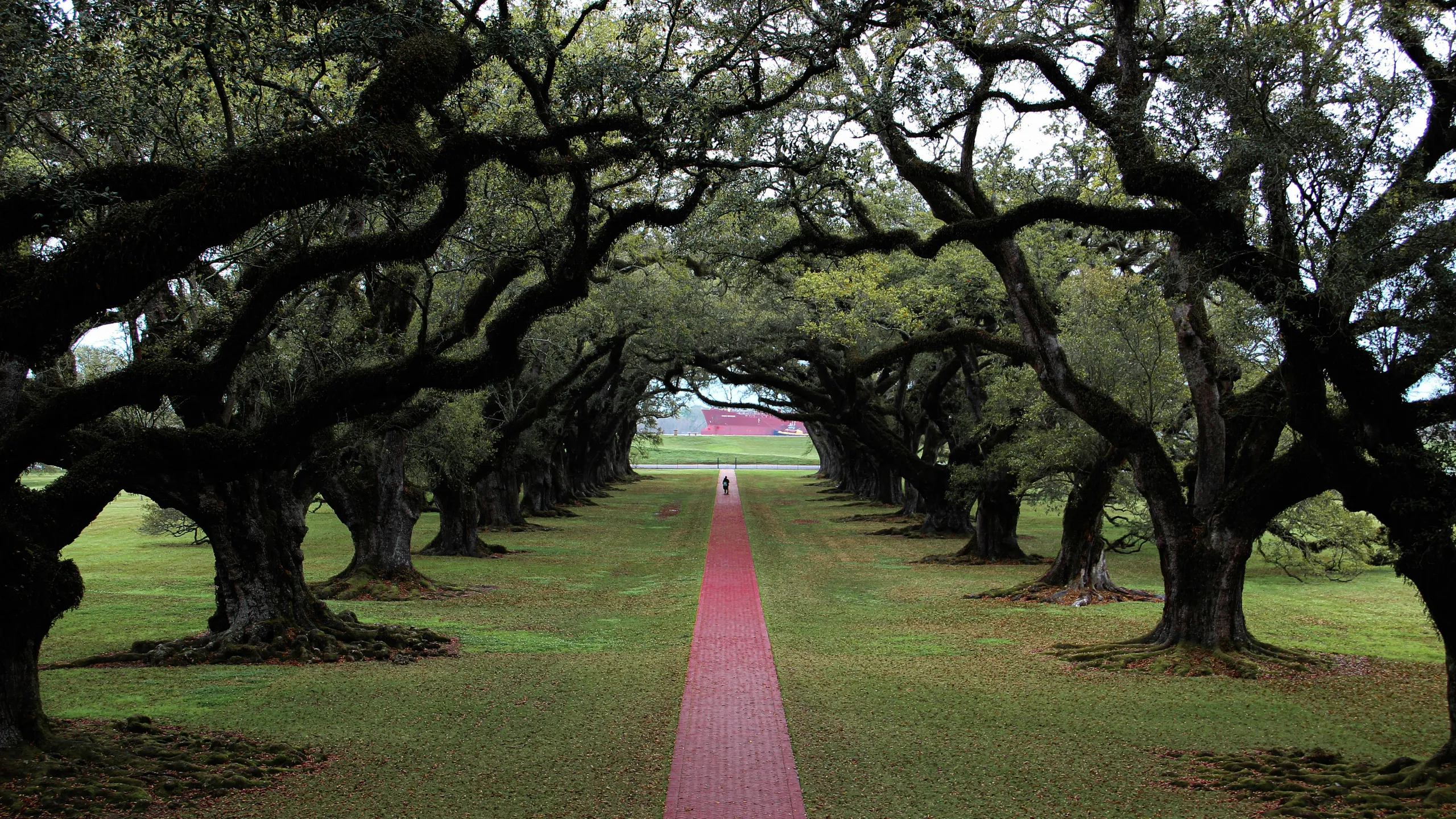 Kenner's Ole Man River Half Marathon
