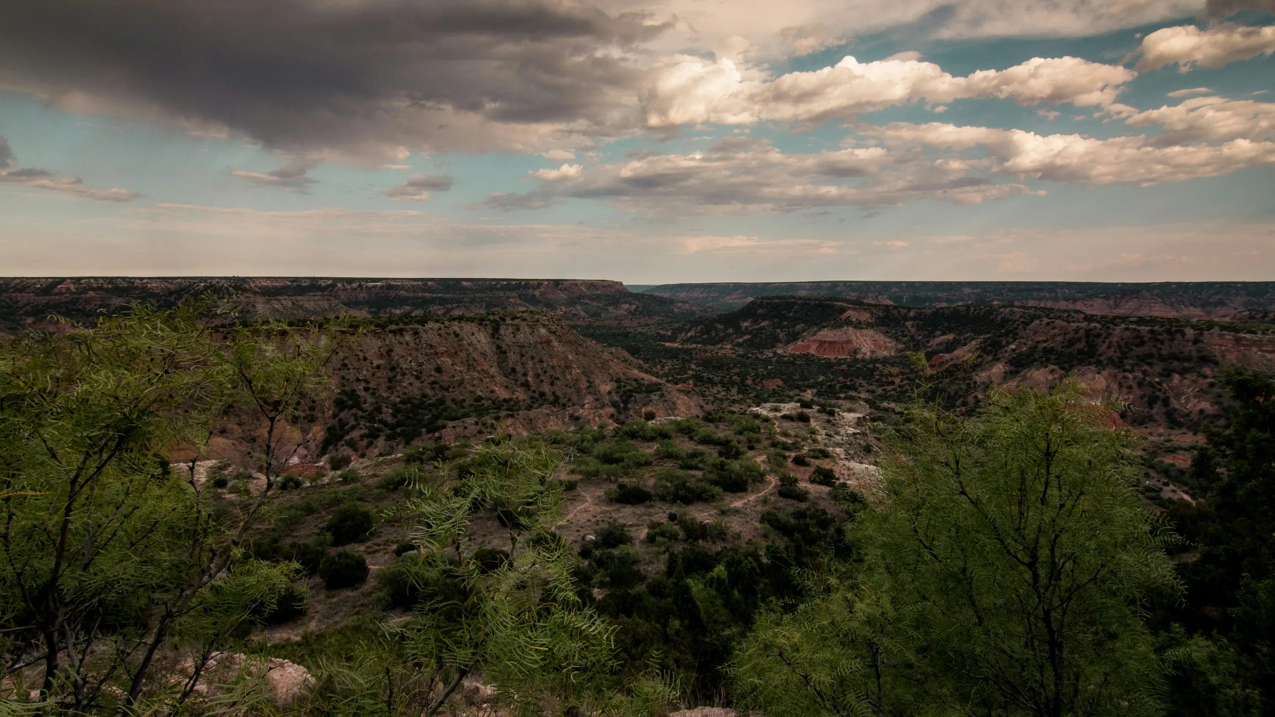 Conquer the Canyon Trail Race