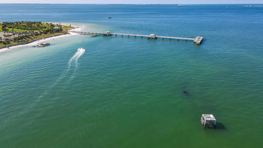 Florida Halloween Distance Classic