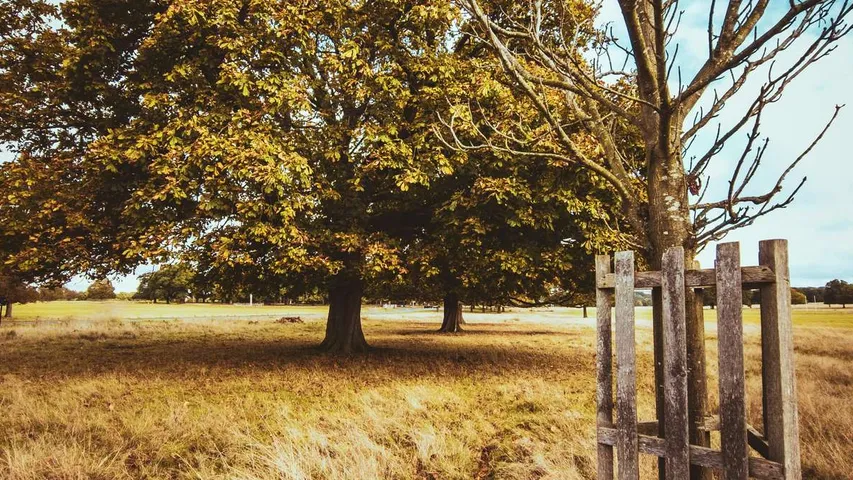 London 2 Brighton Ultra Challenge