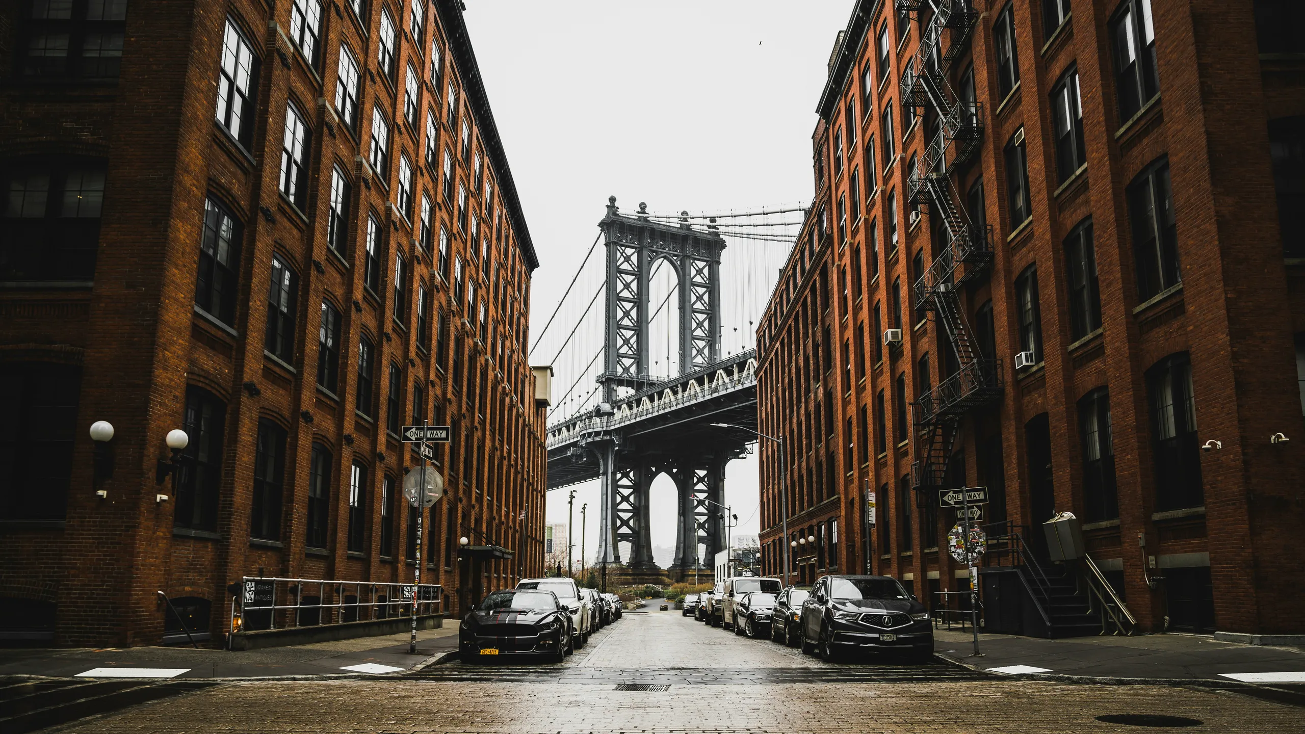 TCS New York City Marathon Training Series 18M