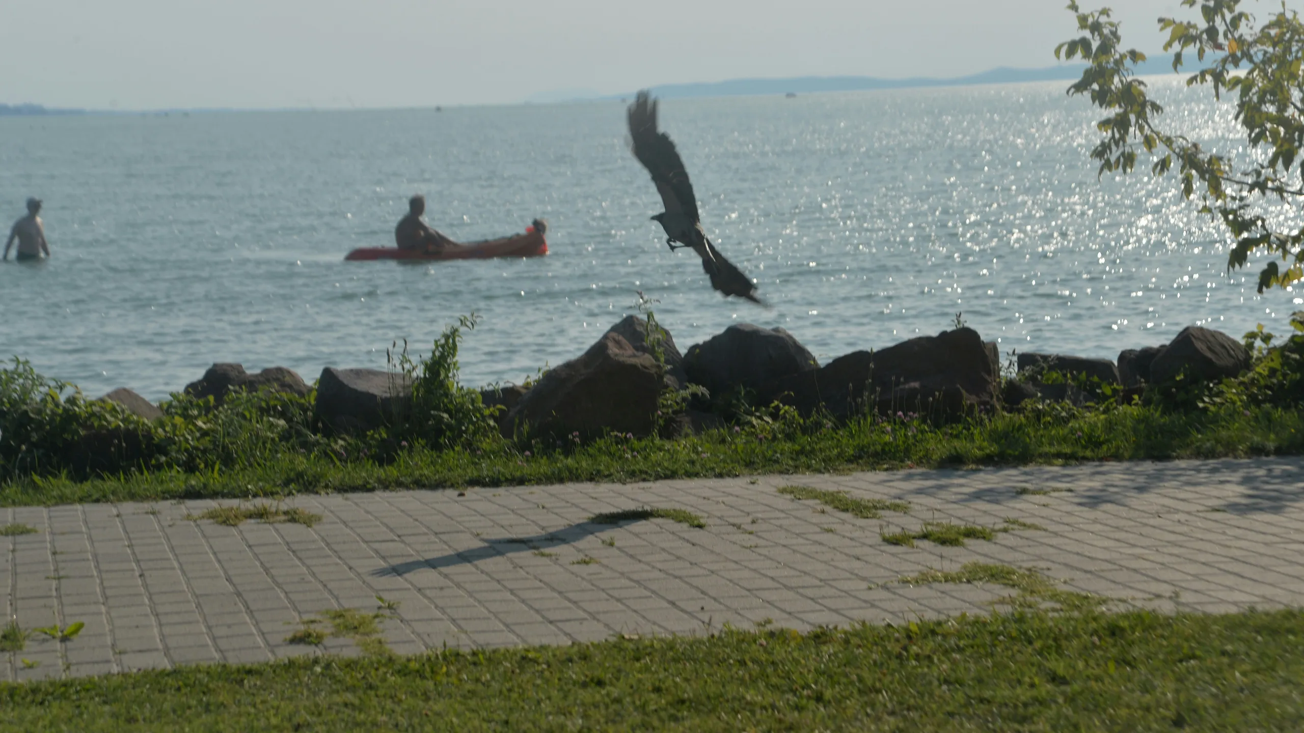 Balaton Maraton és Félmaraton