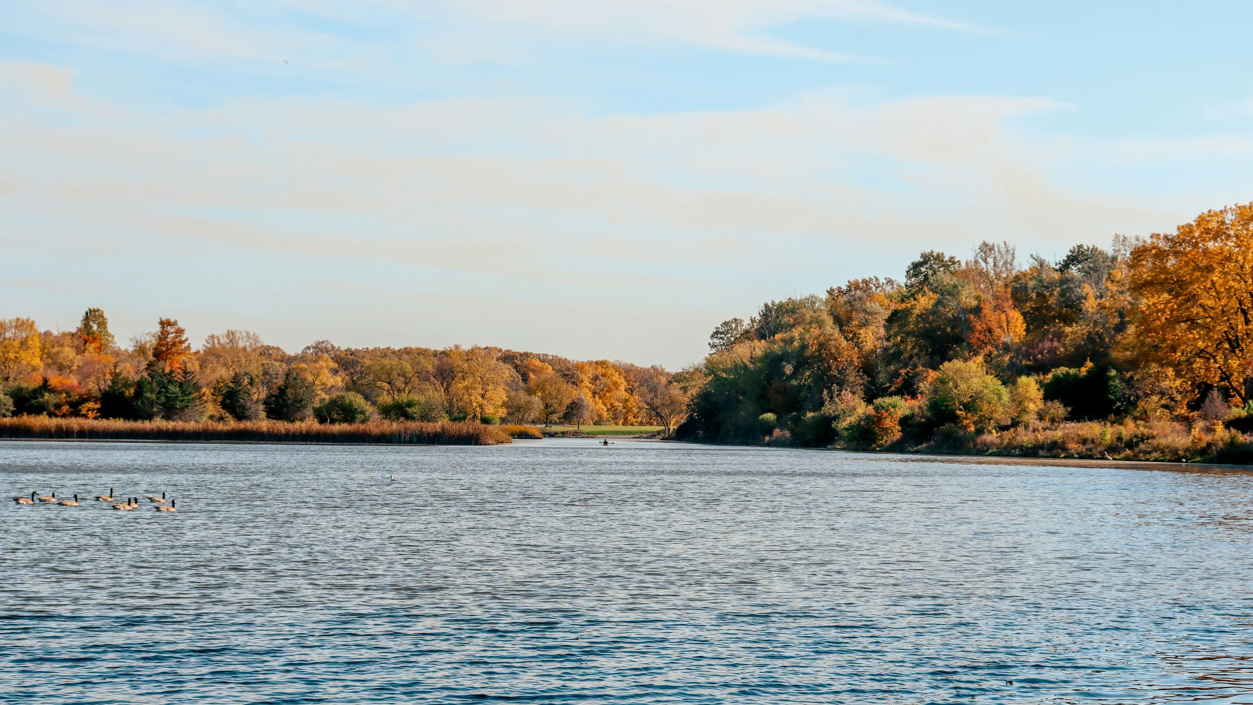 Schaumburg Turkey Trot Half Marathon & 5K