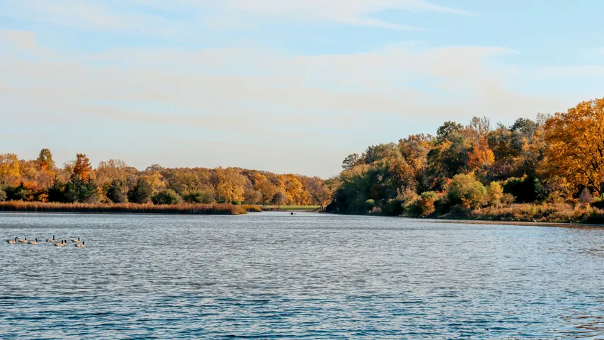 Schaumburg Turkey Trot Half Marathon & 5K
