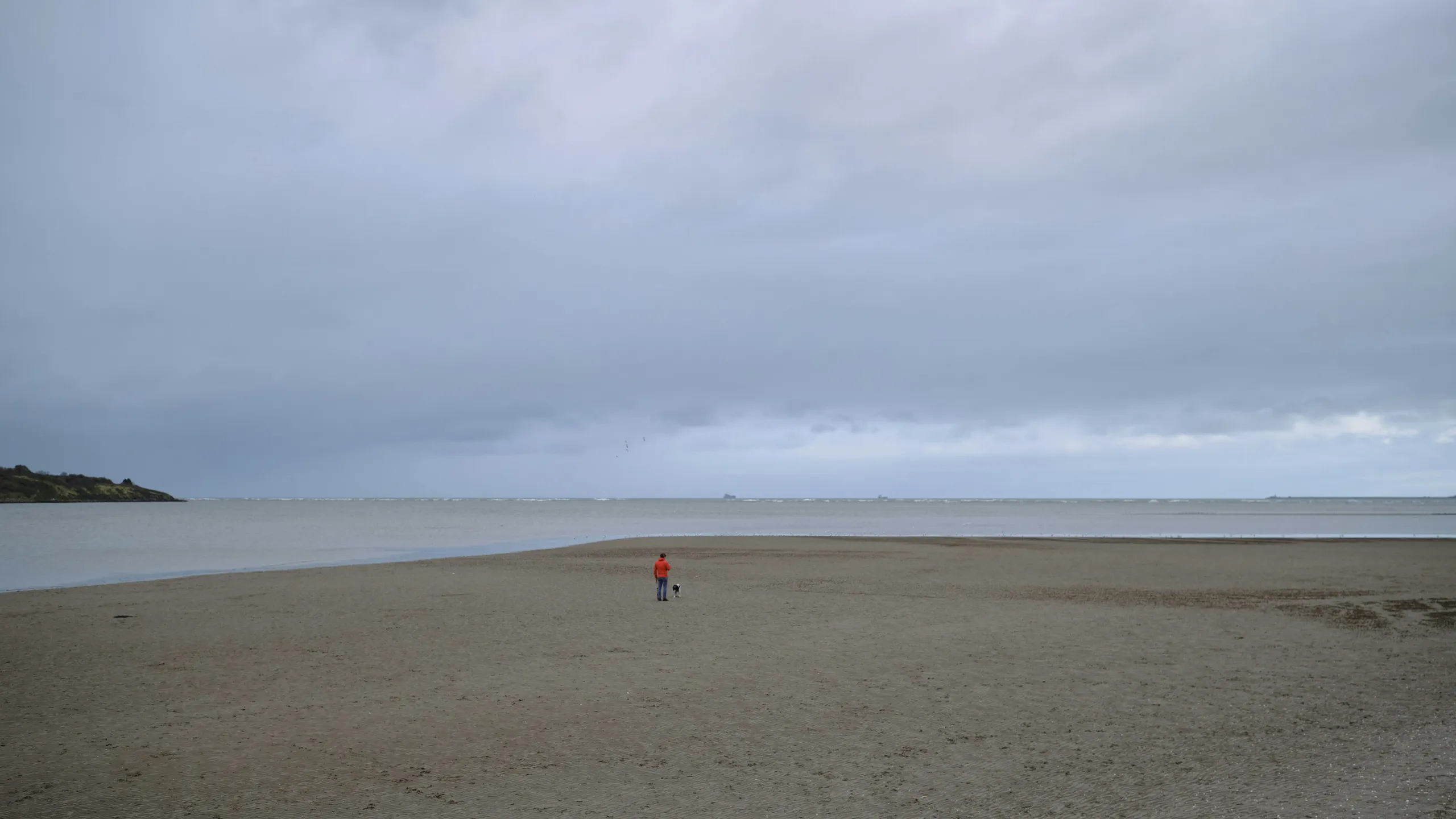 Savills Sandymount Night Run