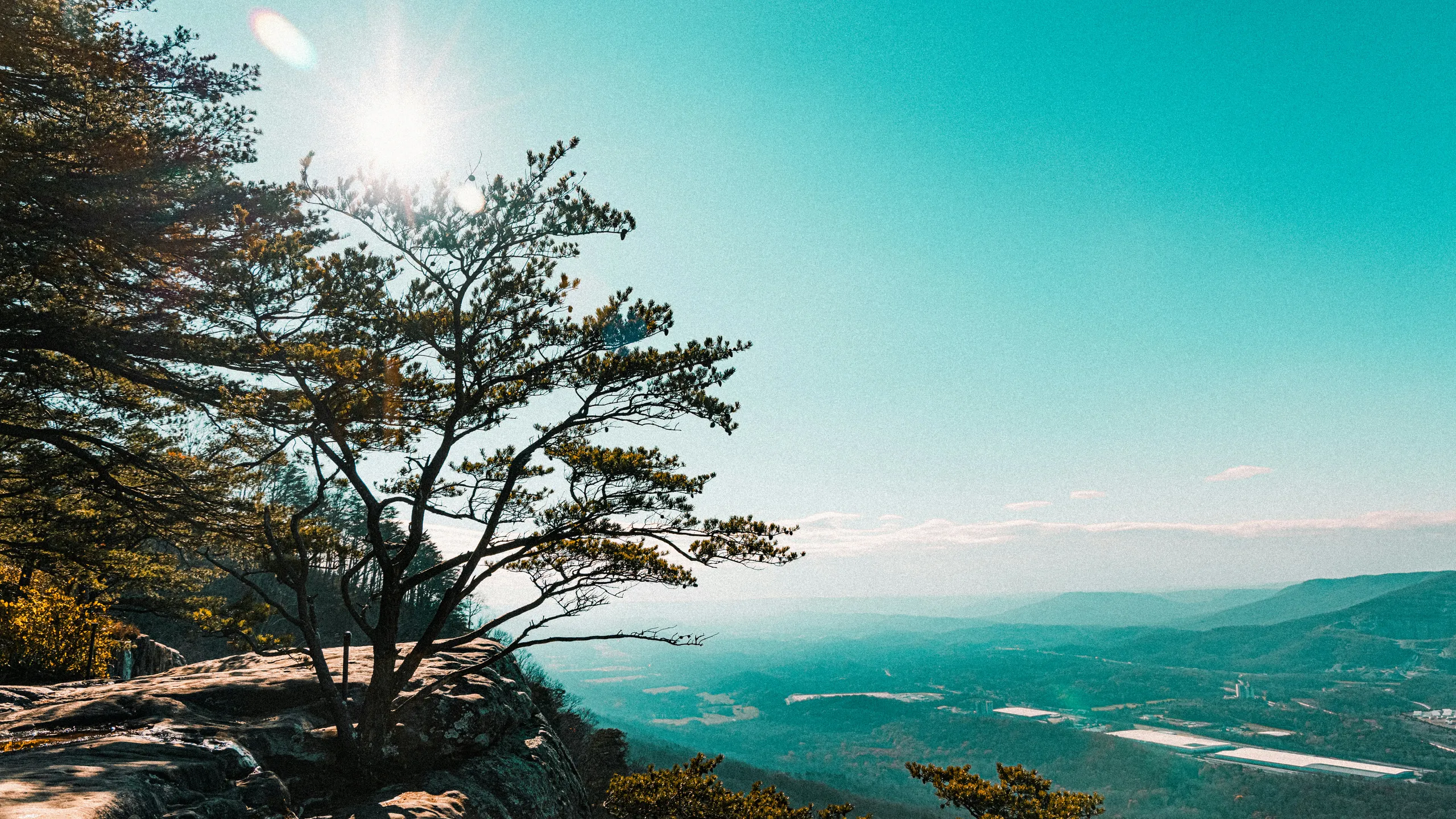 Lula Lake Trail Blazer