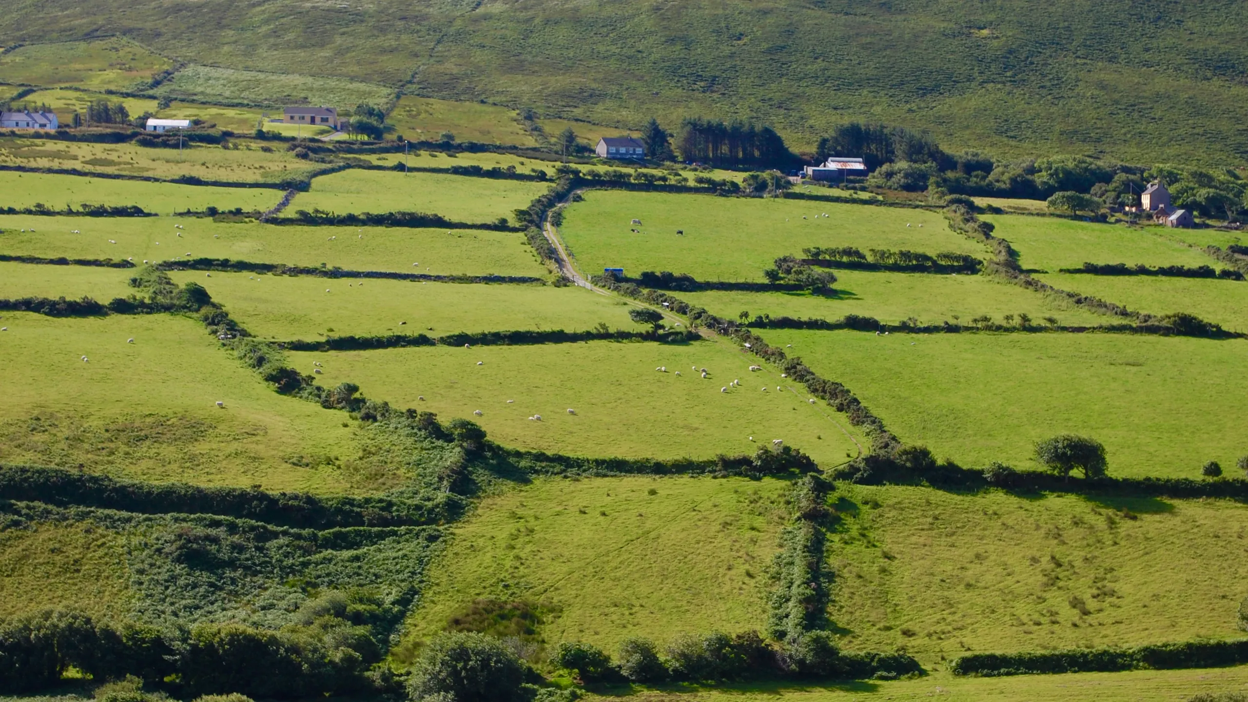 Irish 3/4 Marathon