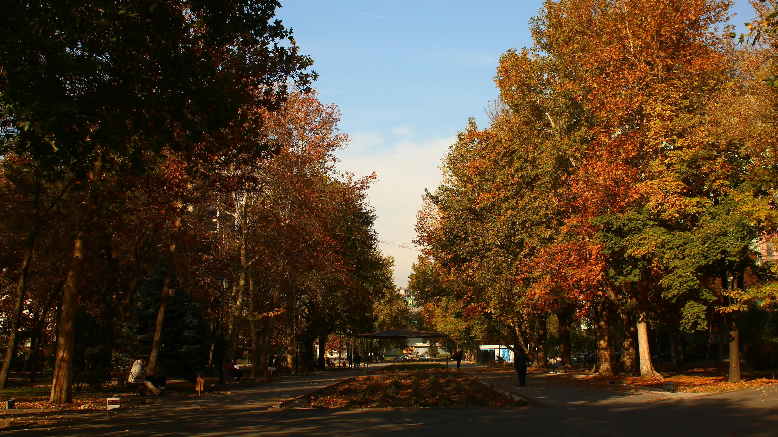 Fall50