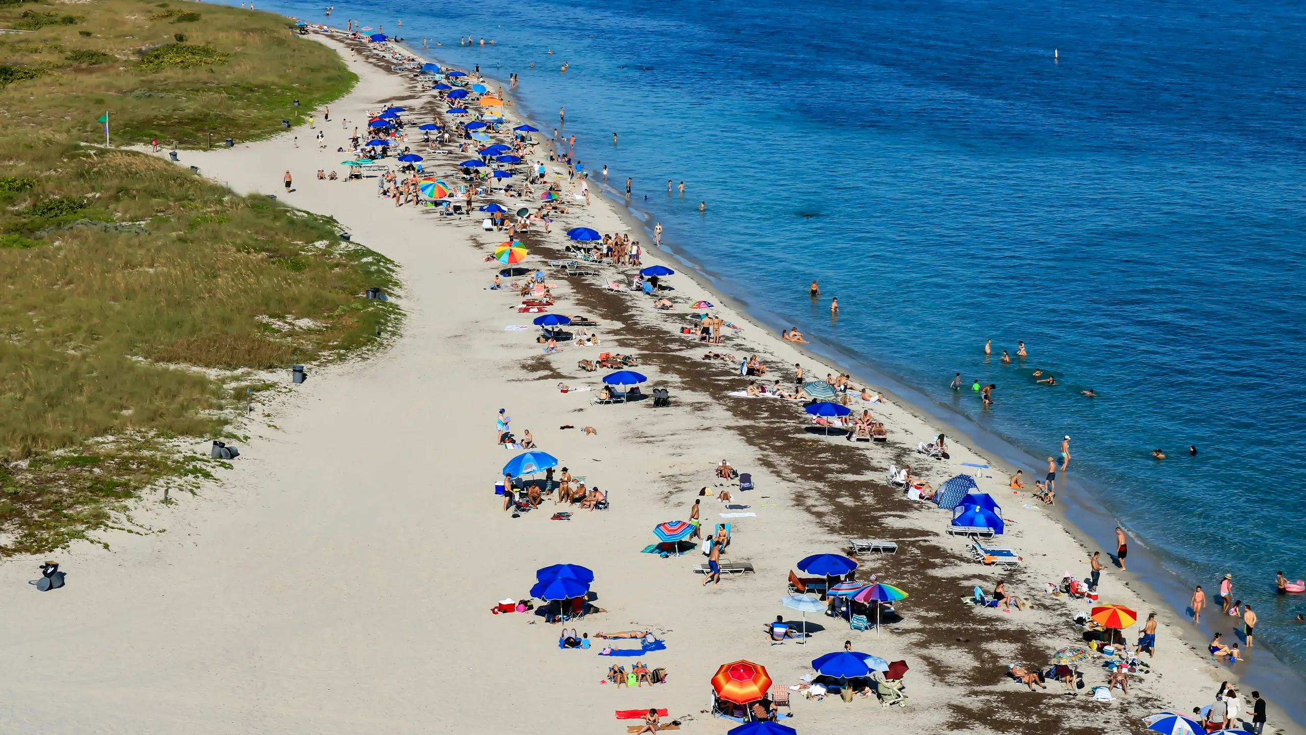 Run MIAMI "The Magic City" 5K/10K/13.1 SUMMER