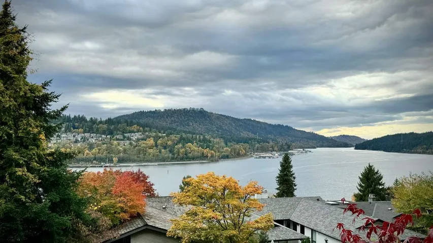 Diez Vista