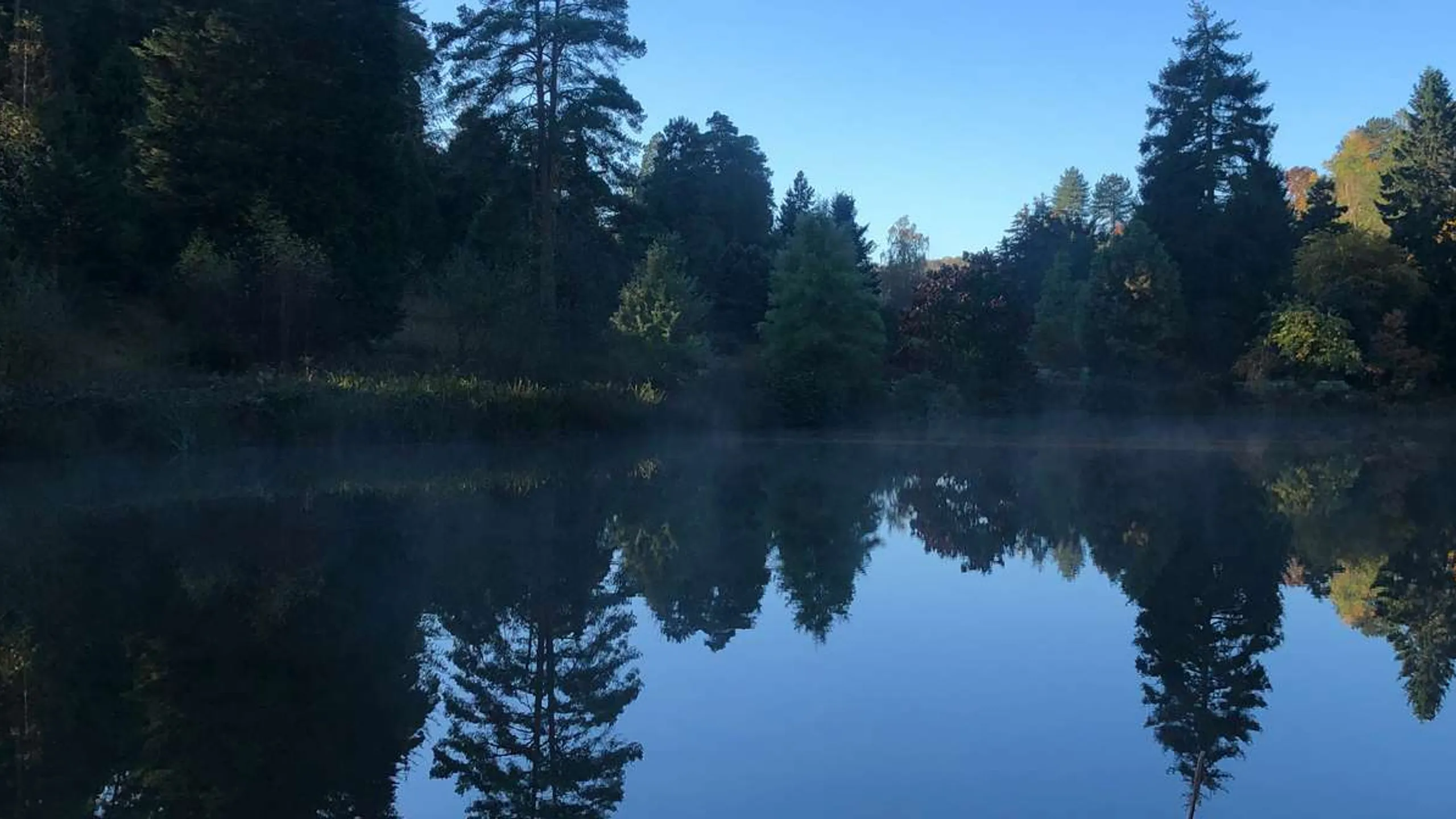 Bedgebury Forest Half Marathon & 10K