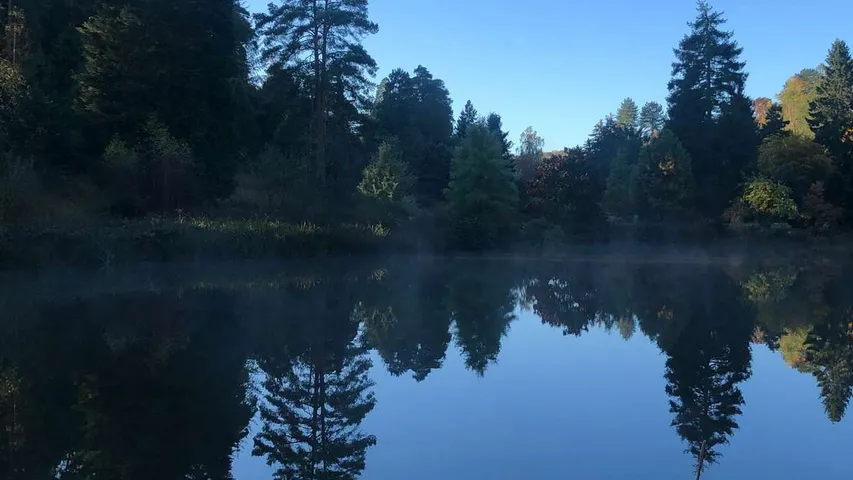 Bedgebury Forest Half Marathon & 10K