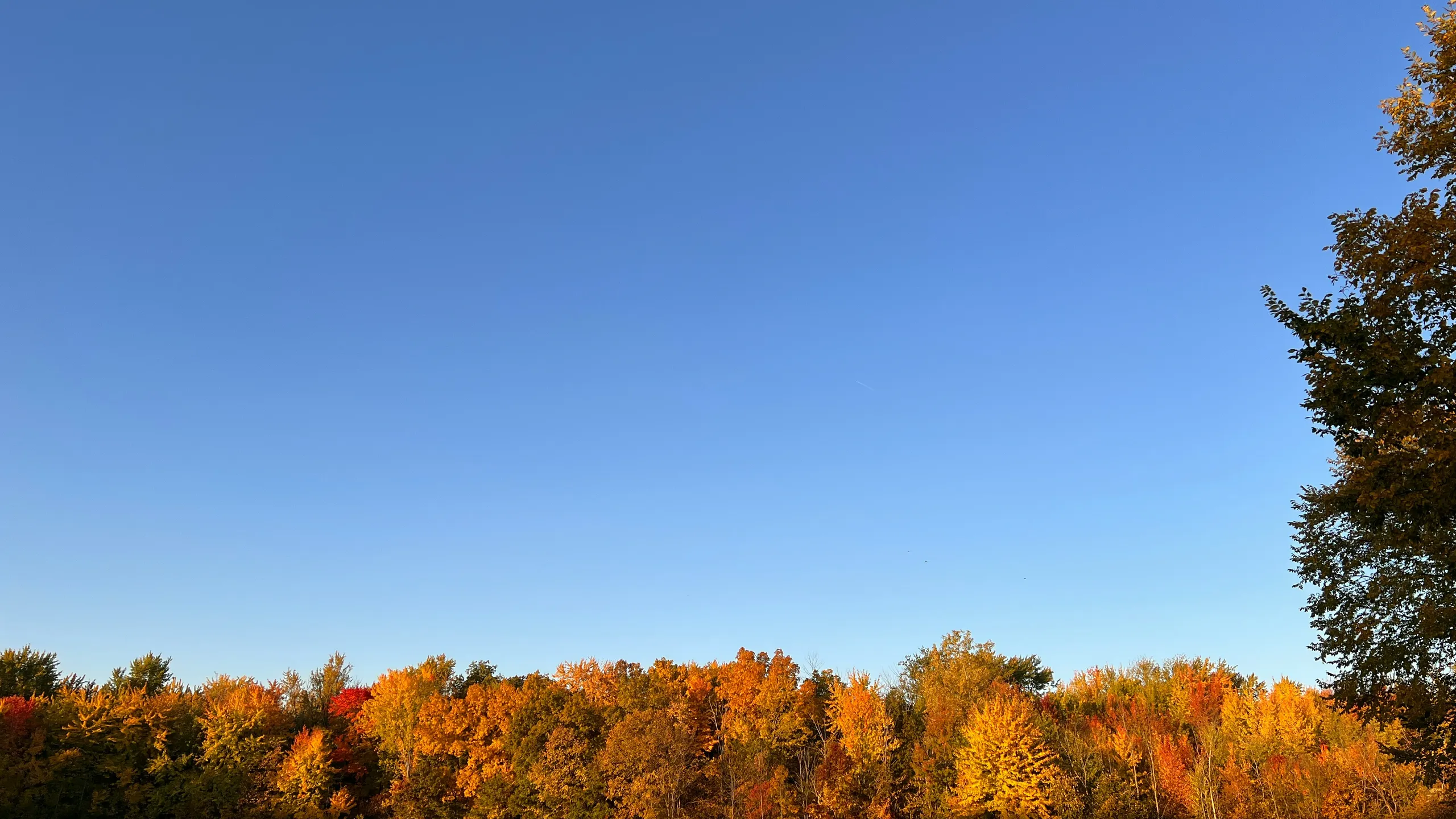 Justify The Pie 5k and 15k Run/Walk