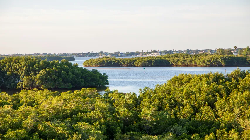 St. Pete Run Fest