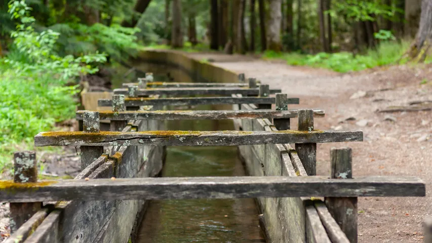 Great Smoky Mountains Half & 5K