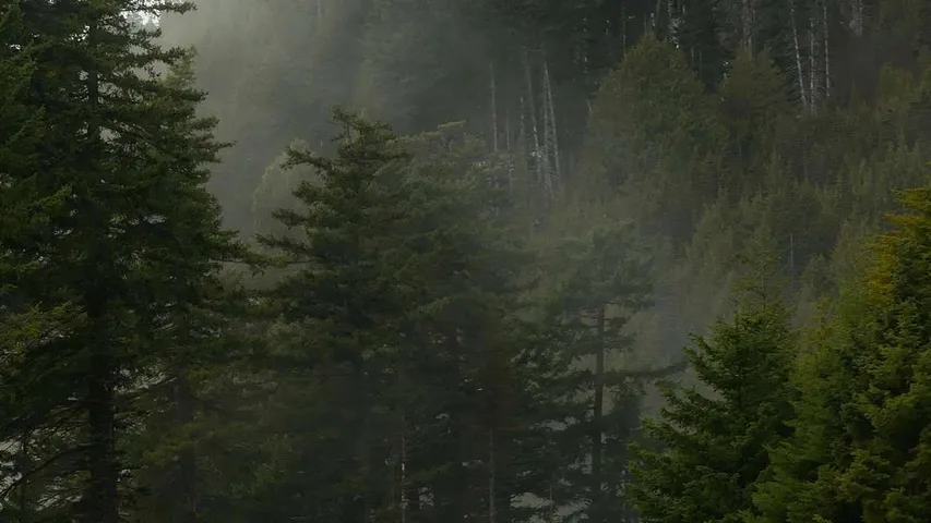 North Olympic Discovery Marathon