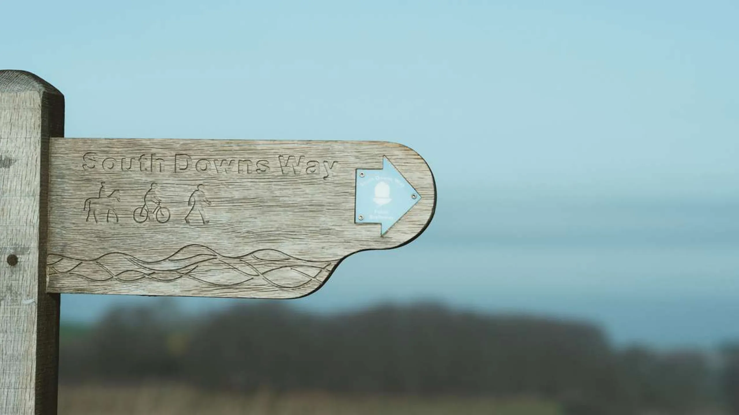 South Downs Way 100