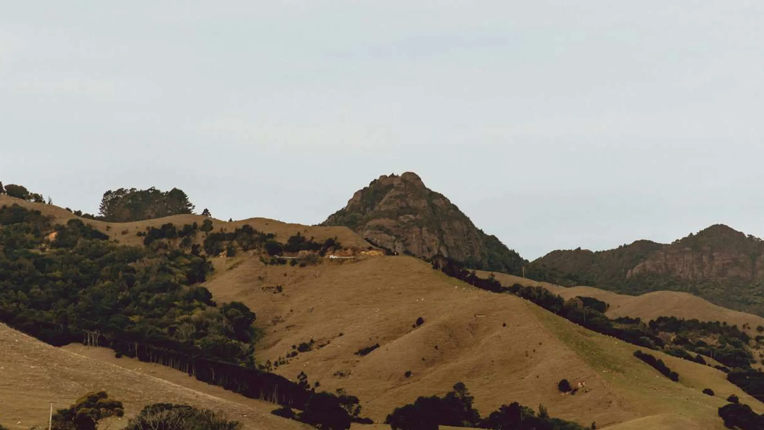 Cape Egmont Half Marathon