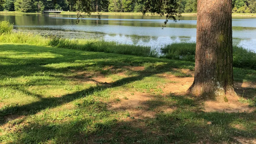 Crooked Creek Ultra Trail Race 2025