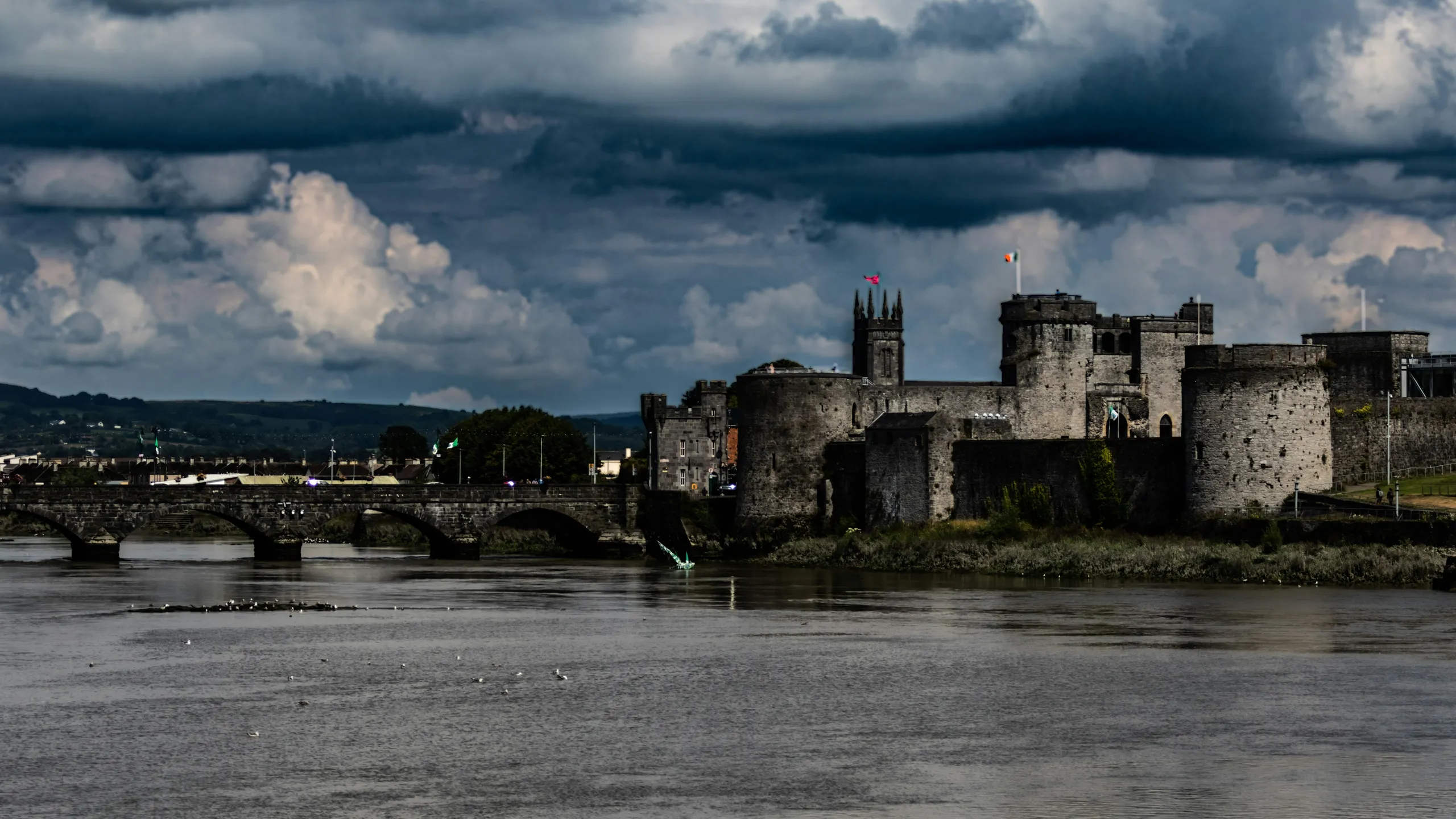 Limerick Half Marathon