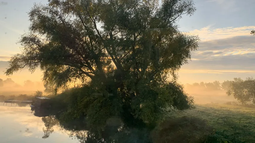 Larking Gowen Norwich Half Marathon