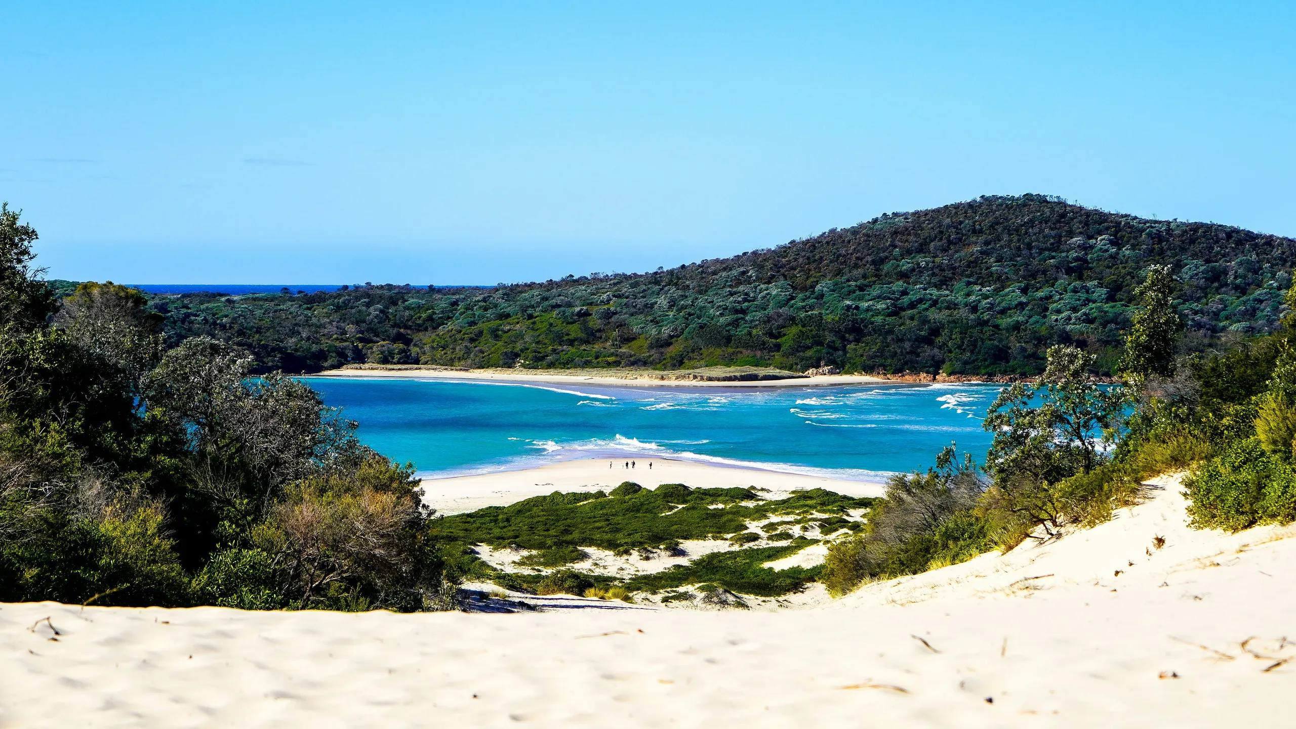 Trail Run Australia Tomaree