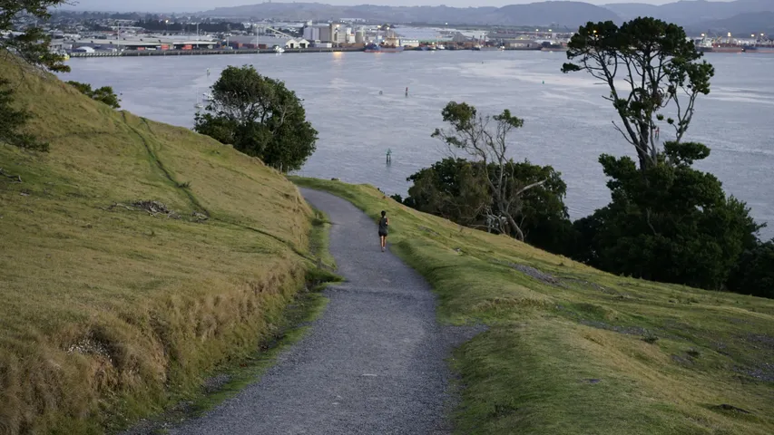 Waitoa Mount Festival Half Marathon