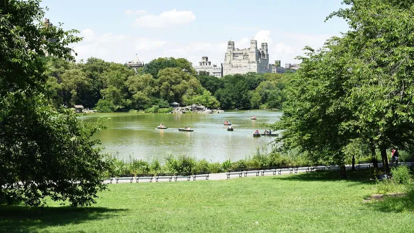 Regent's Park 5k & 10k June 2025