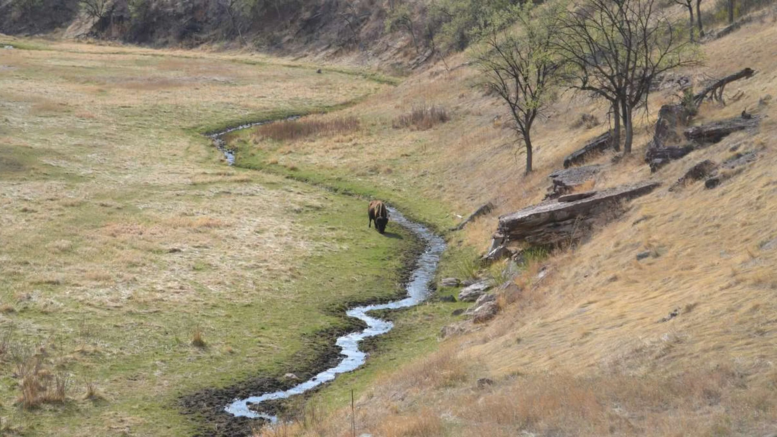 River Rat Run