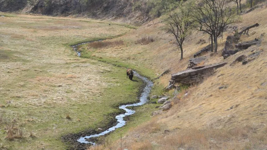 River Rat Run