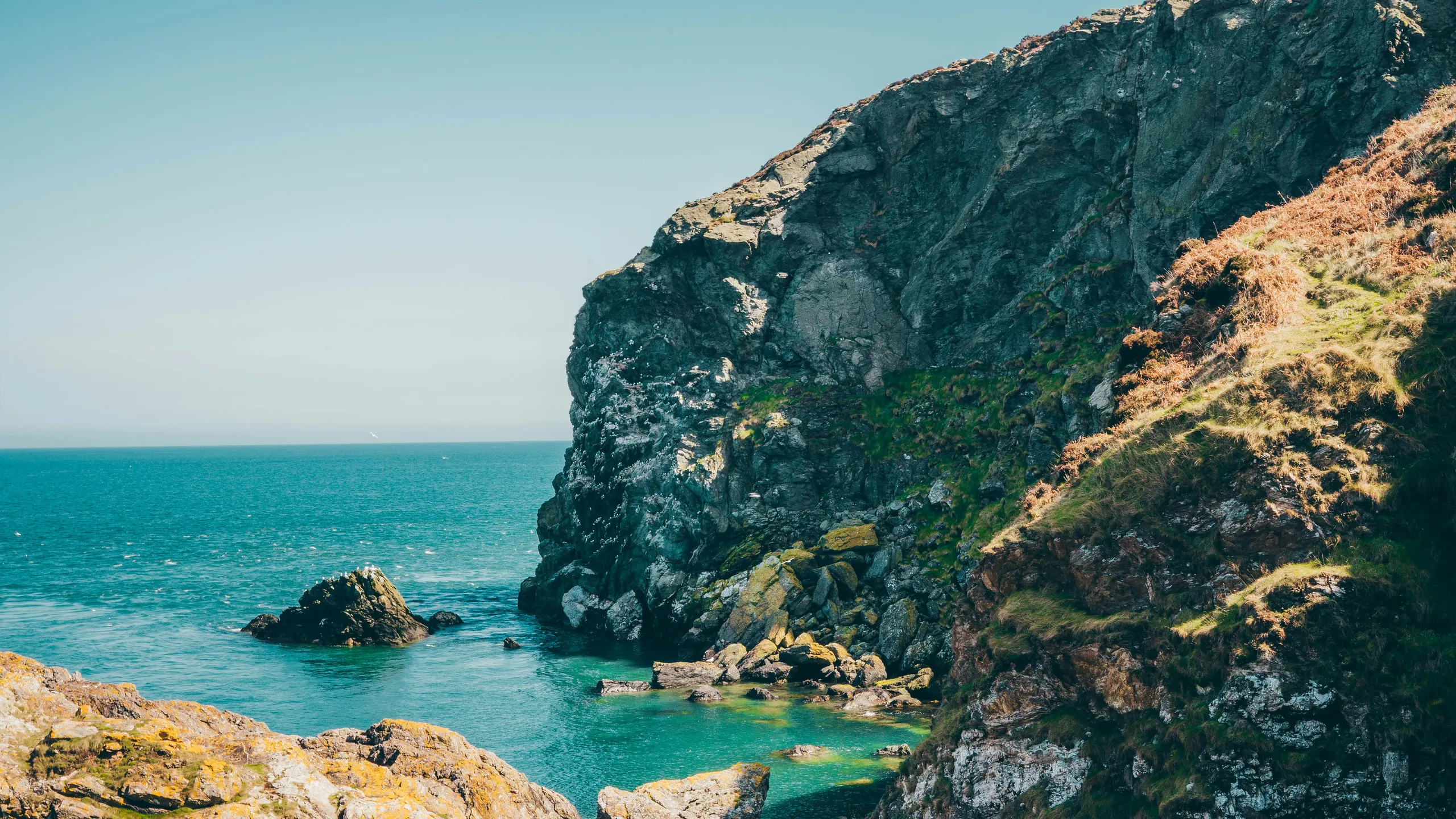 Dublin Mountain Backyard Ultra