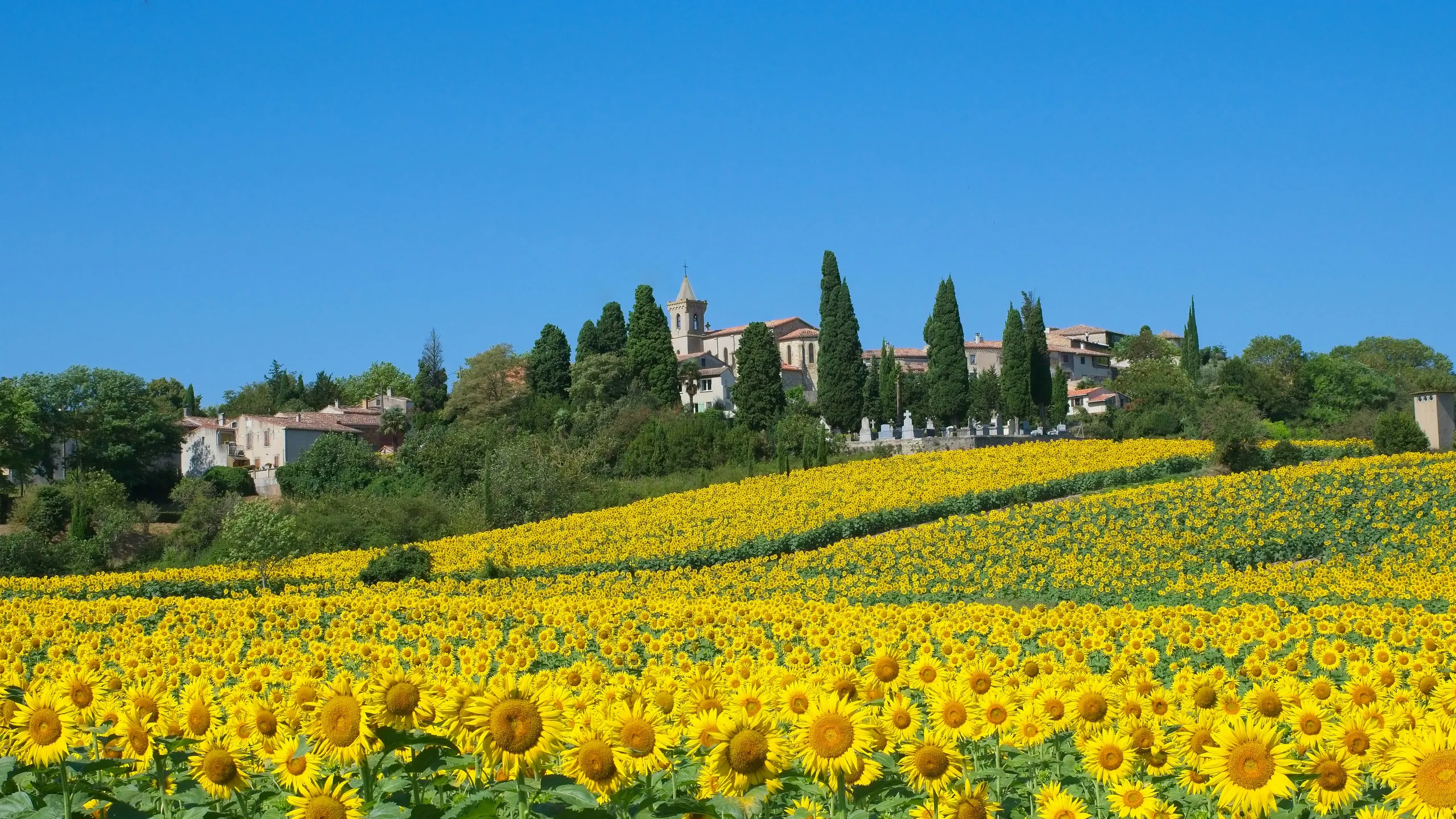 Marathon Côte Indigo