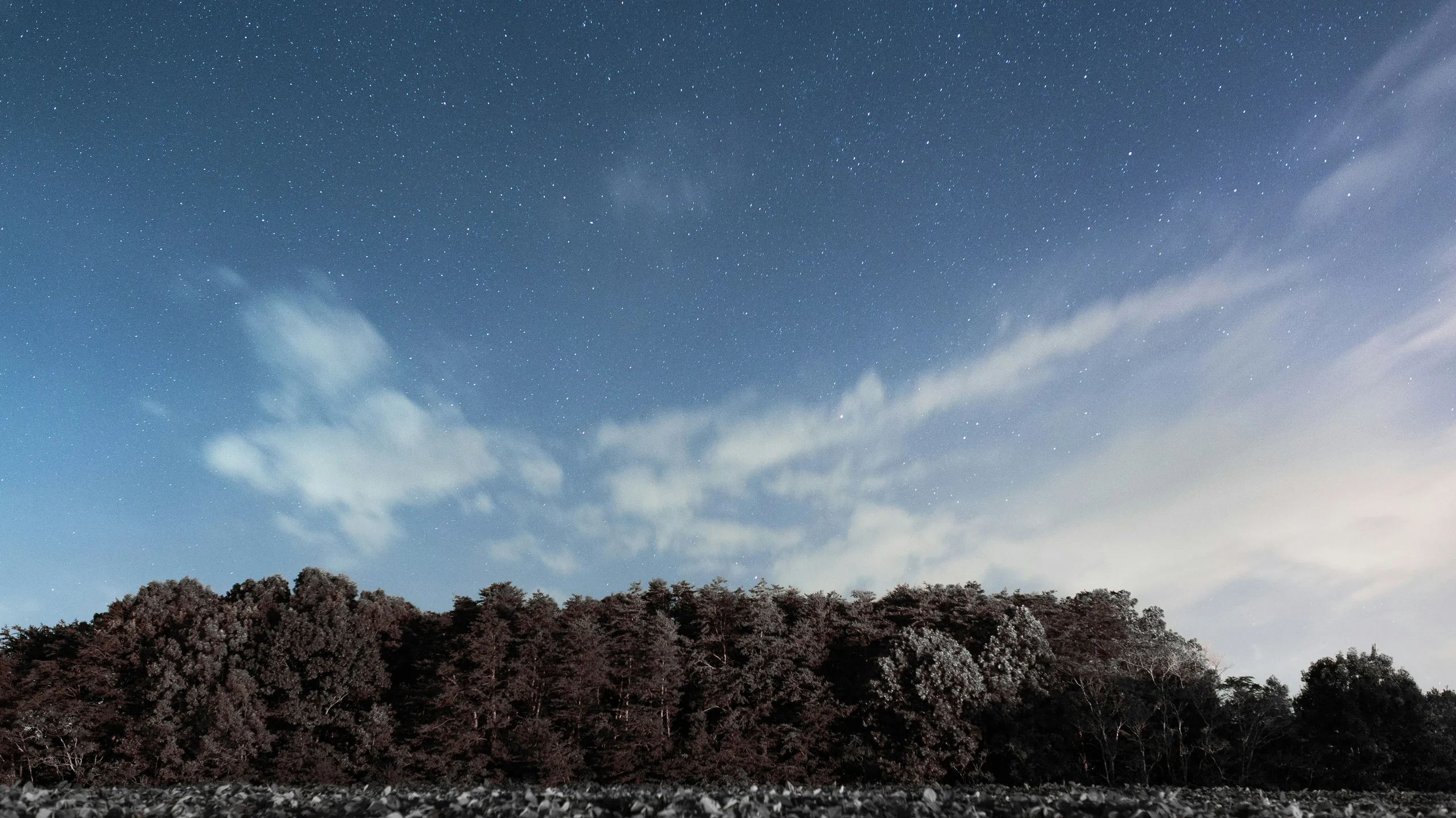 Pilot Mountain to Hanging Rock Ultra