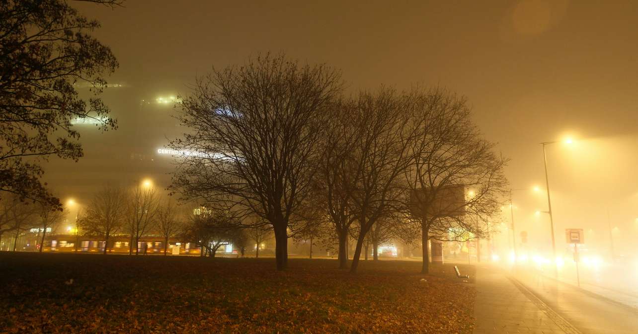 Picture of the event city.